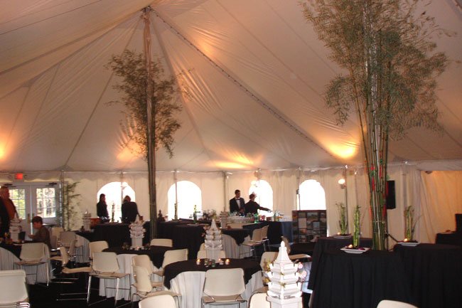 tent-rentals-for-weddings